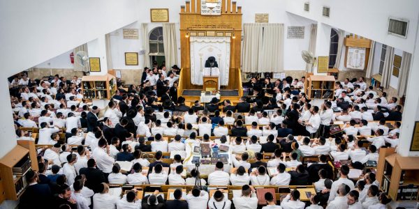 צילום: אריה לייב אברהמס פלאש 90