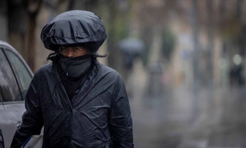 צילום: חיים גולדברג/פלאש 90