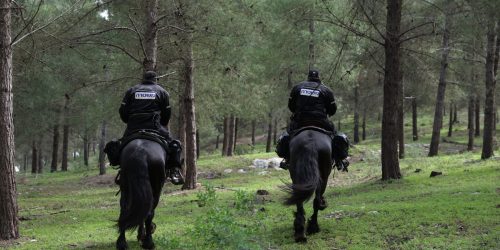 כוחות משטרה בחיפושים אחר היימנוט שנעלמה בעיר צפת. צילום: דוד כהן/פלאש 90