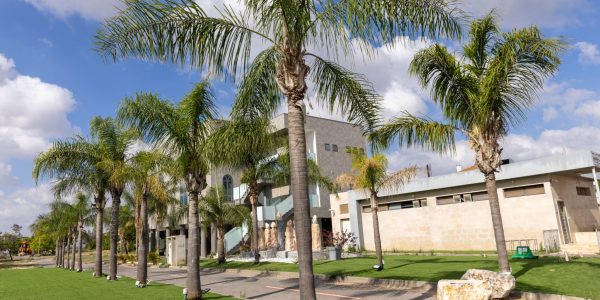 כפר חב"ד. צילום: יוסי אלוני/פלאש 90