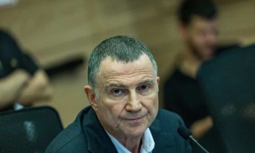 מזויף. יולי אדלשטיין. צילום: יונתן זינדל פלאש 90