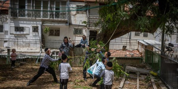 צילום חיים גולדברד פלאש 90