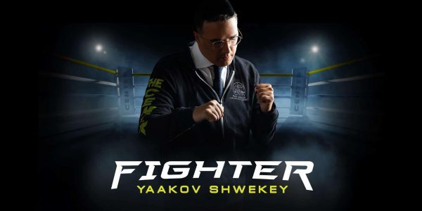 Fighter Cover (2)