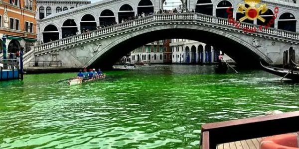 צילום: Dr. Sparkle טוויטר