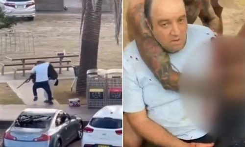 אחמד אל אחמד