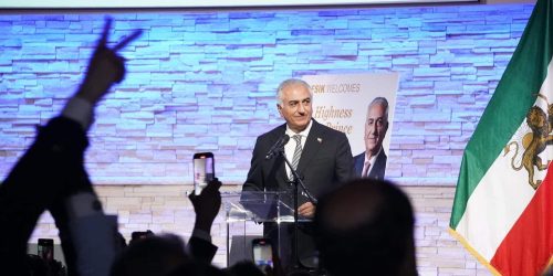 רזא פלהווי. צילום: X