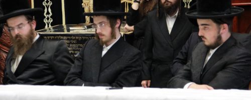 הבן הרה"צ רבי יצחק יהושע העשיל צילום דוד קשת