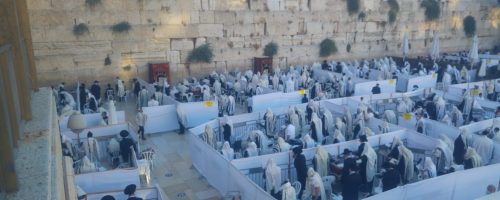 IMG-20200820-WA0127-1