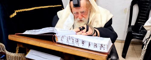 שר התורה בתפילת שחרית // צילום: שוקי לרר