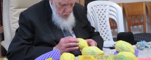 IMG-20200913-WA0084-1