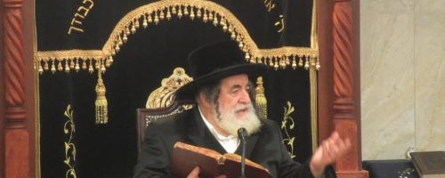 האדמו״ר מויז׳ניץ