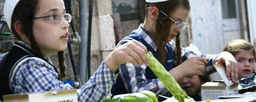 IMG-20200929-WA0332-1