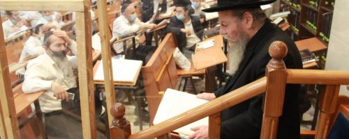 IMG-20201210-WA0344-1