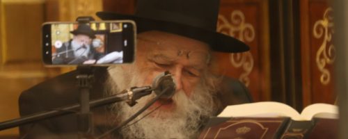 IMG-20201212-WA0169-1