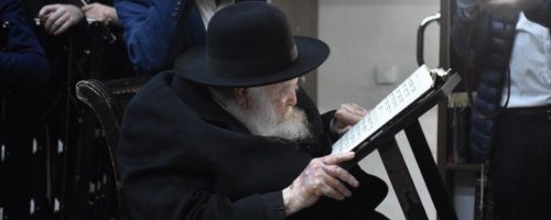 מרן שר התורה הגר"ח קניבסקי // צילום: יהודה פרקוביץ