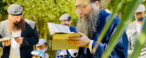 IMG-20210402-WA0127-1