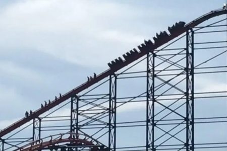 IMG-20210426-WA0026-1