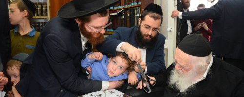 IMG-20210505-WA0052-1