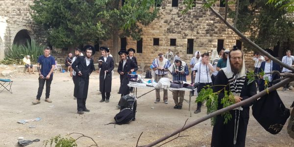 תפילת שחרית בשא-נור. צילום: טביאל טוקר