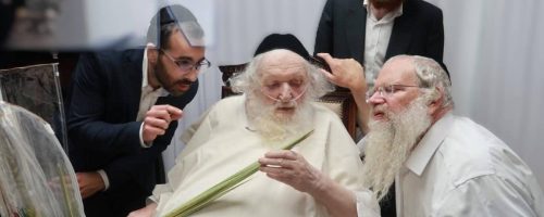 IMG-20241014-WA0110-1