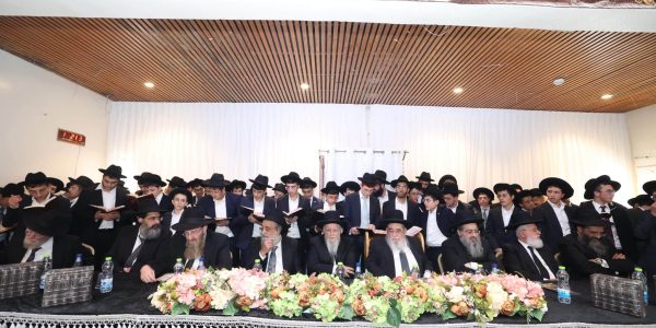 צילום: דוד ארזני