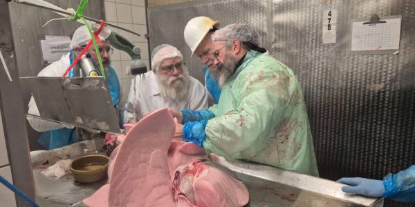 IMG-20251203-WA0300(2)