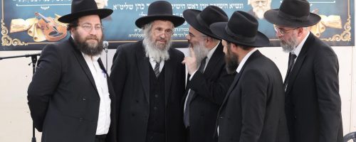 צילום: דוד ארזני