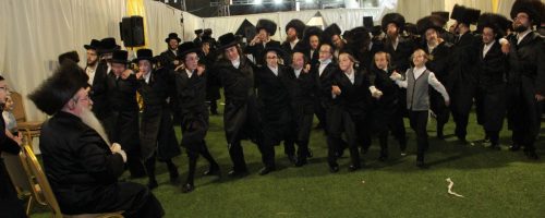 צילום דוד קשת