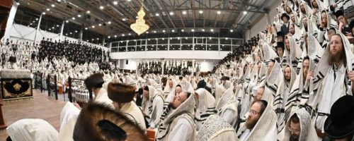 IMG_20221009_090308_732