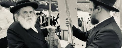 IMG_20221009_091538_947