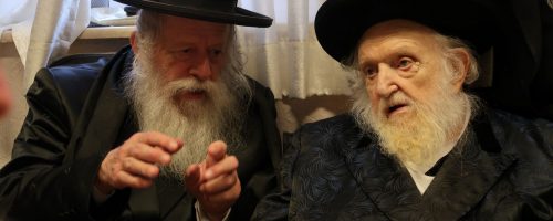 צילום: רפאל שוורץ