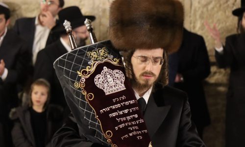 האדמו"ר הצעיר מסדיגורה// צילום: יוני קניג, המחדש