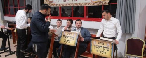 צילום: ש.פ.ה.