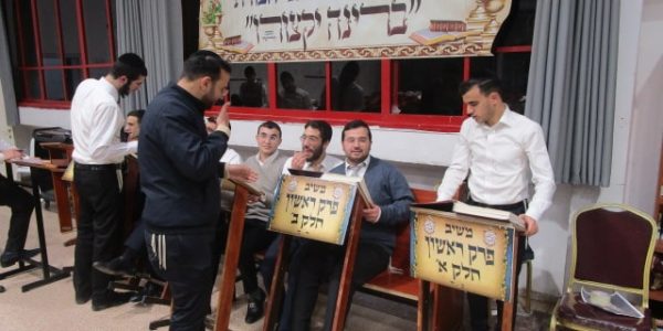 צילום: ש.פ.ה.