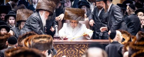 צילום: הלל לש, שלמה ב.