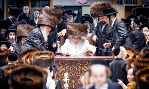 צילום: הלל לש, שלמה ב.