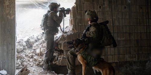 לוחמי צה"ל בדרום הגולן. צילום: דו"צ
