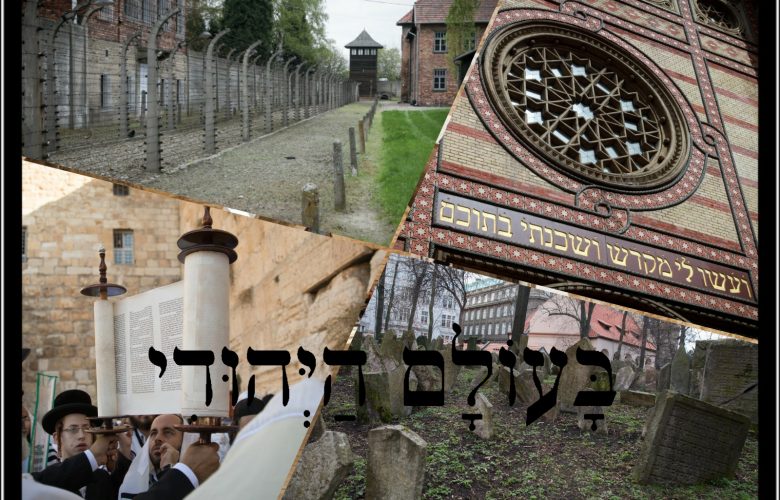 בָּעוֹלָם הַיְּהוּדִי | צילום: יצחק הררי / נועם רבקין פנטון - Flash 90 • עריכה: אבי וולפסון - המחדש