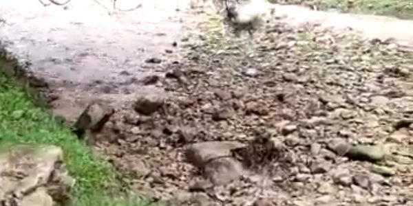 Screenshot_20210117-102329_Twitter