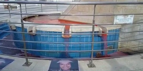 Screenshot_20210117-123650_Twitter