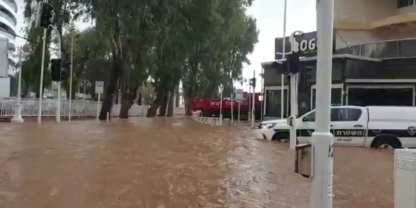 Screenshot_20210117-132811_Twitter