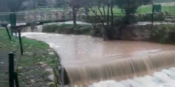 Screenshot_20210120-094152_Twitter