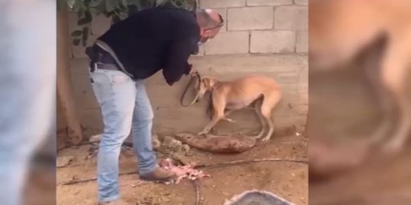 Screenshot_20210412-134215_Telegram