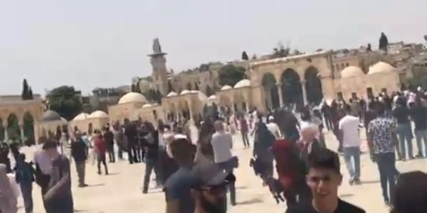 Screenshot_20210521-163033_Gallery