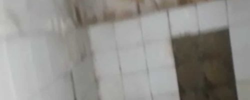 Screenshot_20211108-082022_WhatsApp