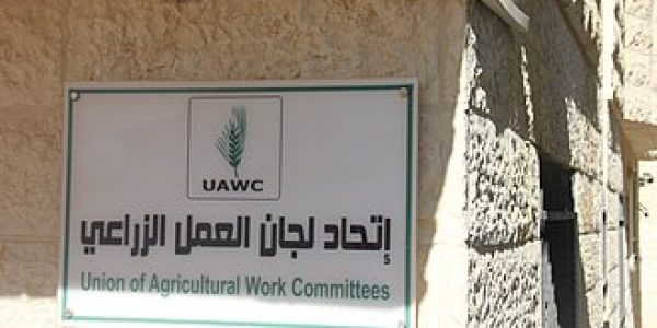 צילום: ויקיפדיה