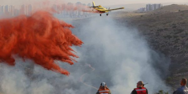 WhatsApp Image 2020-05-19 at 18.46.05