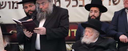 WhatsApp Image 2021-02-11 at 22.11.04 (2)