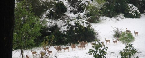 WhatsApp-Image-2021-02-18-at-22.26.47