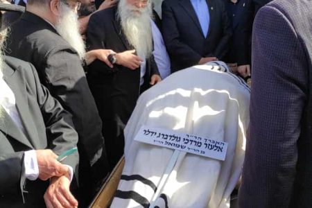 קרדיט שמואל ברנשטיין